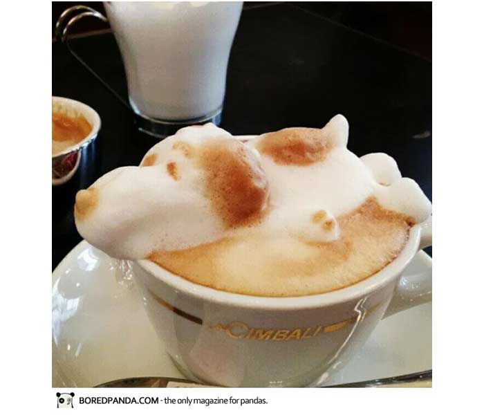 3d-latte-art-by-kazuki-yamamoto-part-2-11