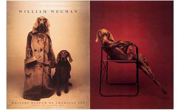SMTTM-William-Wegmans-Dog-4