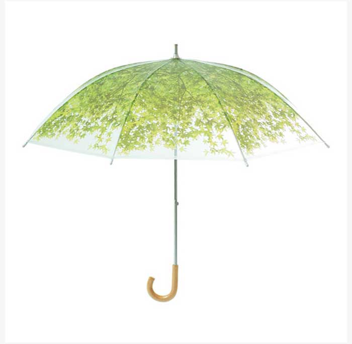 umbrella-3