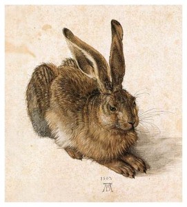 young hare (artyfactory.com)
