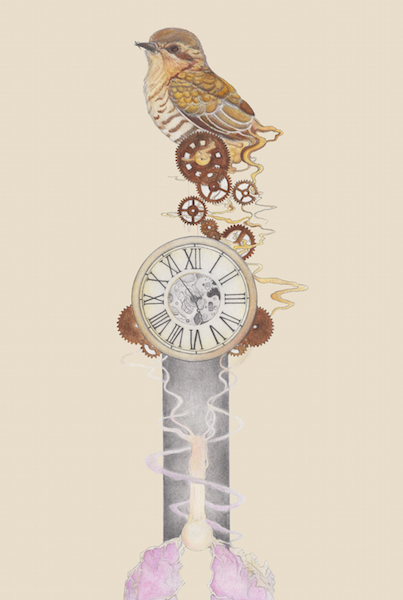 Cuckoo's Clocks