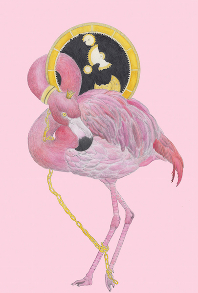 Flamingo's Clocks