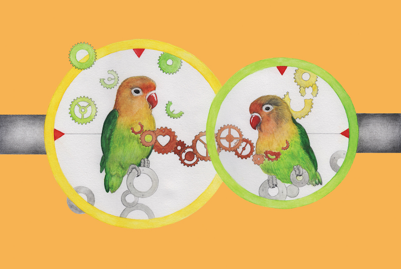 Lovebird's Clocks